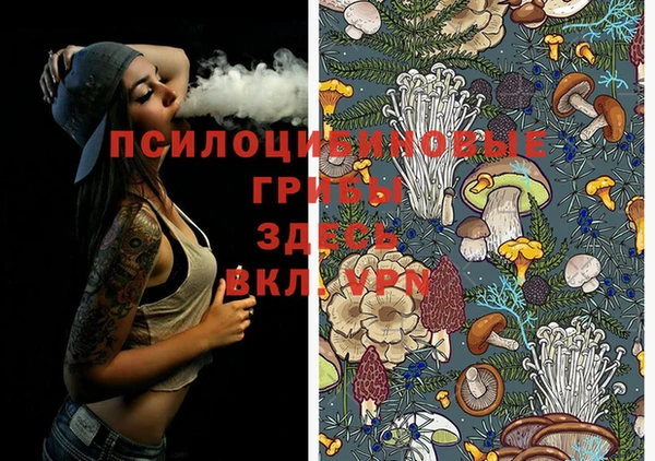стафф Бородино