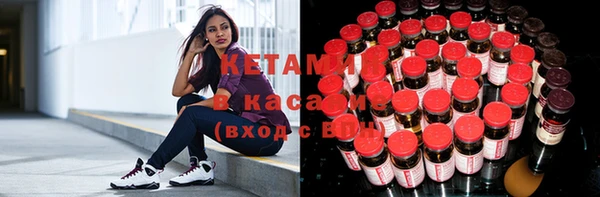 стафф Бородино