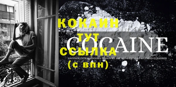стафф Бородино