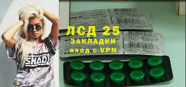 стафф Бородино