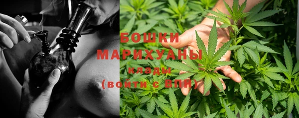 стафф Бородино