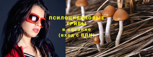 стафф Бородино