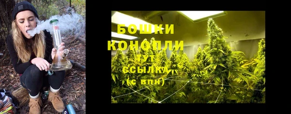 стафф Бородино